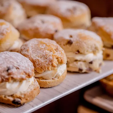 希尔顿利兹城市酒店 4*