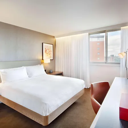 Hilton Hotel