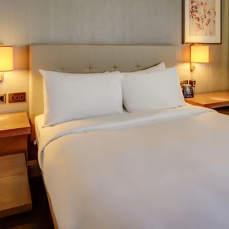 Hilton 4*